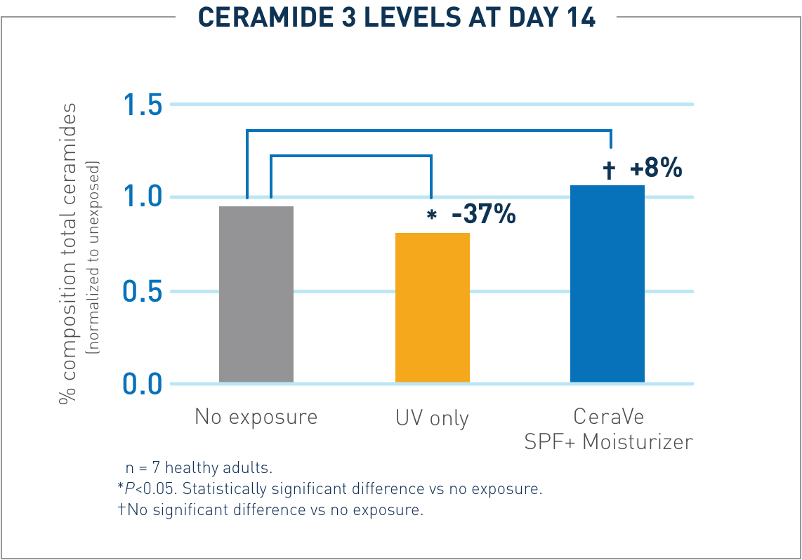Ceramides 3 Levels at Day 14